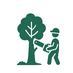 Elagage et abattage d'arbres